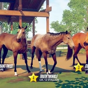 Meet your Posher, Paul